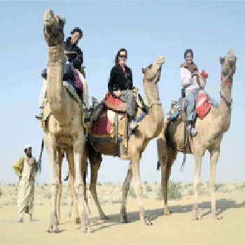Manufacturers Exporters and Wholesale Suppliers of Camel Safari Tour New Delhi Delhi